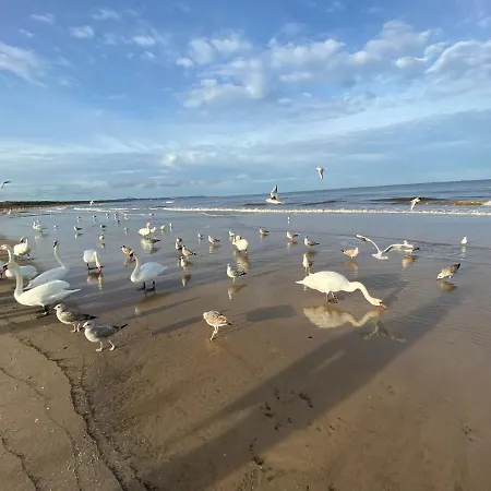 - Trzy Korony Z Widokiem Na Morze Plaza Promenada * Świnoujście