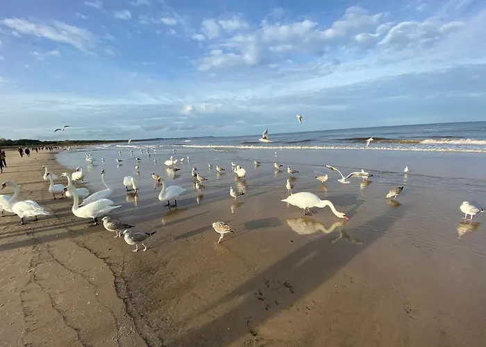 - Trzy Korony Z Widokiem Na Morze Plaza Promenada * 斯维诺乌伊希切